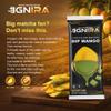 IGNIRA Dried Mango Slices Covered in Matcha Chocolate, Tropical Matcha Chocolates Dipped Fruit Snack, Real Fruit Snacks Strips Convenient On-the-Go, Gluten-Free, 5 Boxes (6 Packs x5, 1.76 oz Each) view 2