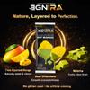 IGNIRA Dried Mango Slices Covered in Matcha Chocolate, Tropical Matcha Chocolates Dipped Fruit Snack, Real Fruit Snacks Strips Convenient On-the-Go, Gluten-Free, 5 Boxes (6 Packs x5, 1.76 oz Each) view 4
