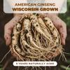 5 Year American Ginseng Slices Hand-Selected Wisconsin Panax Ginseng, Nature American Ginseng Root Slices for Men & Women, for Tea & Soup, Daily Use (1, Box) view 3