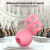 Noise Cancelling Ear Plugs for Noise Reduction and Hearing Protection, Reusable Earplugs for Sleeping, Work, Travel, Concert, Study and Relaxation (Pink) view 4