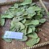 Daun Ketepeng Cina (Senna Alata) Candle Bush Dried Leaves (80 gram) view 4