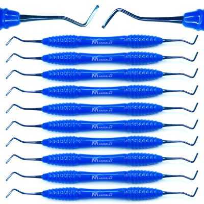10 pcs Dental Enamel Hatchet 8/9 Double Ended Restorative Instrument with Silicone Handle