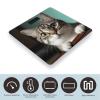 A Curious Cat Smart Scale for Body Weight Accurate Bathroom Scale with LED Display Digital Weight Scales Weighing Machine High Precision Scales for Bath Home view 3