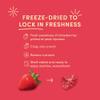 Tru Fru Freeze Dried Fruit Variety Pack, Strawberries & Crme, Strawberries in Dark & White Chocolate, Real Fruit, Chocolate Covered Snacks, Gluten Free Candy, 6 Pack (3.4oz) view 4