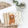 Caroline's Treasures Reddish Brown Great Pyrenees Coffee Bar Greeting Cards Pack of 8 Blank Cards with Envelopes Whimsical A7 Size 5x7 view 2