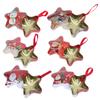 Abaodam Five-pointed Star Candy Tin Boxes 6pcs Xmas Storage Containers Christmas Candy Treat Boxes Party Favor Packaging view 1