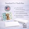 Caroline's Treasures Chocolate Labradoodle Coastal Sea Glass Greeting Cards Pack of 8 Blank Cards with Envelopes Whimsical A7 Size 5x7 view 3