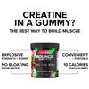 Bounce Pro Creatine Monohydrate Gummies for Men & Women, Low Calorie, 6G of Creatine per Serving, Vegan, Anti-Melting, Gluten-Free, Non-GMO (30 Count (Pack of 1), Strawberry Kiwi) view 4
