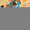 Drying Rod Stick Portable Reusable Efficient Odorless view 4