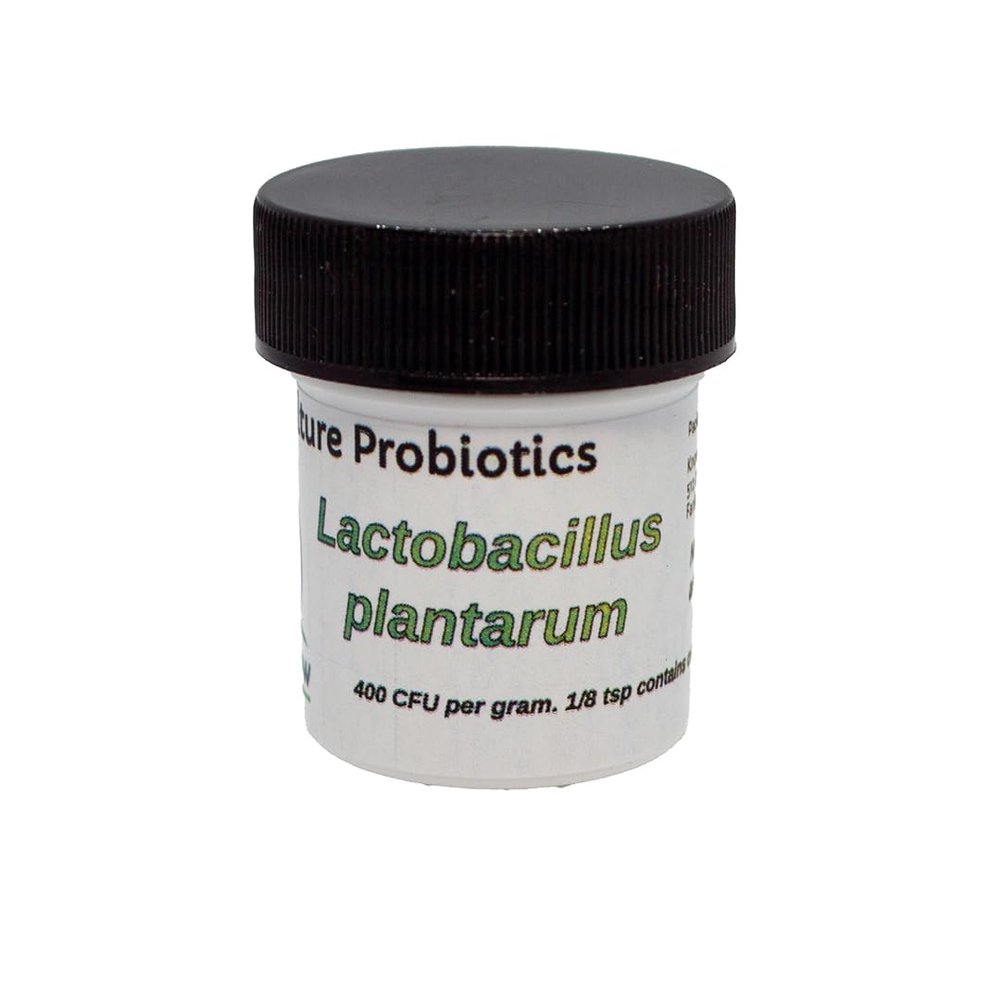 Know-How Foods Single Strain Starter Cultures (Lactiplantibacillus plantarum (formerly in genus Lactobacillus) - 10g (~24 doses))