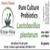 Know-How Foods Single Strain Starter Cultures (Lactiplantibacillus plantarum (formerly in genus Lactobacillus) - 10g (~24 doses)) view 4
