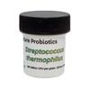 Know-How Foods Single Strain Starter Cultures (Streptococcus thermophilus 10g) view 1