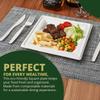 100% Compostable 6" 8" and 10" Square Paper Plates [75-Pack] - BPI Certified & ASTM compliant- [Assorted] Heavy Duty, Eco-Friendly, Biodegradable Bagasse Dinner Plates - White Variety Plates view 2
