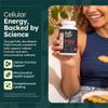 Feelaliv PQQ Supplement 20mg Per Serving | Pyrroloquinoline Quinone Capsules | Cellular Energy & Cognitive Support | Single Ingredient | Clean Label | Vegan | 60 Capsules view 3