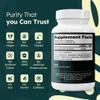 Feelaliv PQQ Supplement 20mg Per Serving | Pyrroloquinoline Quinone Capsules | Cellular Energy & Cognitive Support | Single Ingredient | Clean Label | Vegan | 60 Capsules view 4