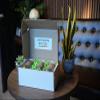Gourmet Stuffed Queen Olives - Multiple Flavors (Bleu Cheese & Almond) view 3