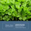 Eclectic Herb - Organic Celery Juice Capsules | Nutritional Supplement | Hydration + Wellness Support, Vitamins + Minerals | Freeze Dried, USDA Organic, Non GMO, Vegan, Gluten Free (90 CT | 385 mg) view 3