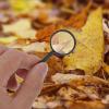 TOPPERFUN 10pcs Portable Handheld Magnifying Glass Set 25mm Lens Diameter High Definition Optical Magnifier for Reading Coins Jewelry Inspection Magnifier for Seniors and Hobby Use view 4