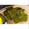Pickled Grape Leaves 1000g Jar, Traditional Turkish Style, suitable for Stuffed Dishes, Dolma, Appetizers, and Snacks - One Size view 3
