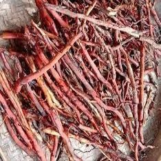 Akar Pohon Kelapa - Dried Coconut Roots (30 gram)