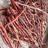Akar Pohon Kelapa - Dried Coconut Roots (30 gram) view 1