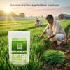neotea Wheat Grass Powder (Triticum aestivum) Pure Natural Green Superfood Powder Fine Plant-Based Powder for Smoothies & Juices (300 GM(10.58 OZ)) view 3