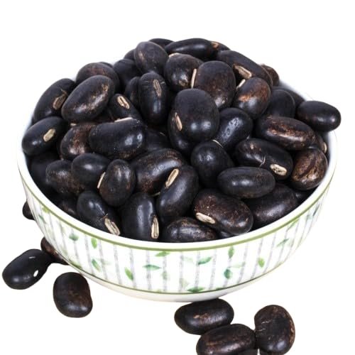 Black Kaunch beej, Konch Seed, Kala Koch ke beej, Alkushi, Kauch, Mucuna Pruriens, Velvet Beans, Kapikachhu, Cowitch, Cowhage (100 Grams)