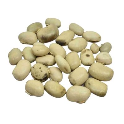 White Konch Safed Kaunch beej, Konch Seed, Kala Koch ke beej, Alkushi, Kauch, Mucuna Pruriens, Velvet Beans, Kapikachhu, Cowitch, Cowhage (100 Grams)