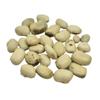 White Konch Safed Kaunch beej, Konch Seed, Kala Koch ke beej, Alkushi, Kauch, Mucuna Pruriens, Velvet Beans, Kapikachhu, Cowitch, Cowhage (100 Grams) view 1