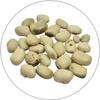 White Konch Safed Kaunch beej, Konch Seed, Kala Koch ke beej, Alkushi, Kauch, Mucuna Pruriens, Velvet Beans, Kapikachhu, Cowitch, Cowhage (100 Grams) view 2
