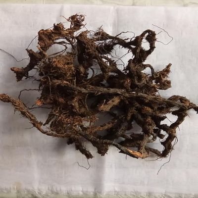 NAGARMOTHA - MUSTAK - Cyperus ROTUNDUS - TUNGA GADDALU - RAW Material All THE Way from India 50 Grams