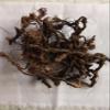 NAGARMOTHA - MUSTAK - Cyperus ROTUNDUS - TUNGA GADDALU - RAW Material All THE Way from India 50 Grams view 1