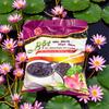 Powder Mix Drinks Group (1 PACK, BLACK SESAME WITH LOTUS POWDER) view 2