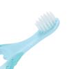 WATIIFUFU Gentle Soft Bristle Toothbrush 2pcs Set for Ages 1-6, Comfortable Manual Teeth Brush in Blue and Pink, Daily Use Dental Care Tool for Sensitive Gums view 3