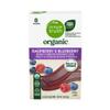 ST Organic Raspberry & Blueberry Fruit & Veggie Strips 4 oz view 1