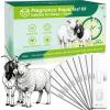 10-Pack Sheep & Goat Early Pregnancy Test - Detect Pregnancy in 5-10 Minutes with Urine, Easy Home Breeding Confirmation Kit for Accurate Livestock Management view 1