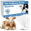Bovine Pregnancy Test Kit (5 Tests) - Rapid Serum/Plasma Detection for Cows, Fast 5-20 Minute Results, High Sensitivity Early Pregnancy Monitoring for Dairy & Beef Cattle view 1