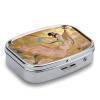 Lute Fairy in The Clouds Pill Box 2-Compartment Portable Travel Square Pill Case Daily Pill Holder with Store Vitamins Pocket Medicine Organizer for Office Home Fish Oil view 3