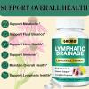 GHKALQ Lymphatic Drainage Supplements,13-in-1 Herbal Formula with Echinacea,Dandelion &Burdock,Liposomal Technology,Support Fluid Balance & Immune Support,120 Capsules(Pack of 1) view 2