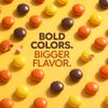 Candy Coated Peanut Butter Chocolate Bites 24oz Bulk Bag, Peanut Butter Center with Crisp Shell, Orange Yellow Brown Candy Pieces for Party Favors, Candies Buffets, Dessert Toppings and Holiday Treats view 3
