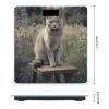 Gray Cat in Flower Field Bathroom Scale for Body Weight with High Precision Large LCD Backlight Display Digital Weighing Scale with BMI Capacity Up to 180kg view 2
