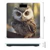 Cute Owl Bathroom Scale for Body Weight with High Precision Large LCD Backlight Display Digital Weighing Scale with BMI Capacity Up to 180kg view 2