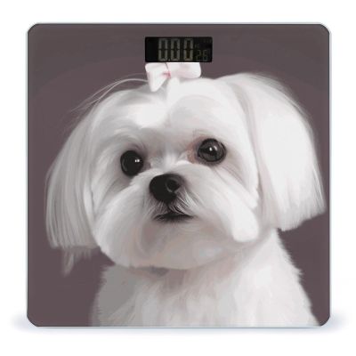 Lovely Maltese Dog Bathroom Scale for Body Weight with High Precision Large LCD Backlight Display Digital Weighing Scale with BMI Capacity Up to 180kg