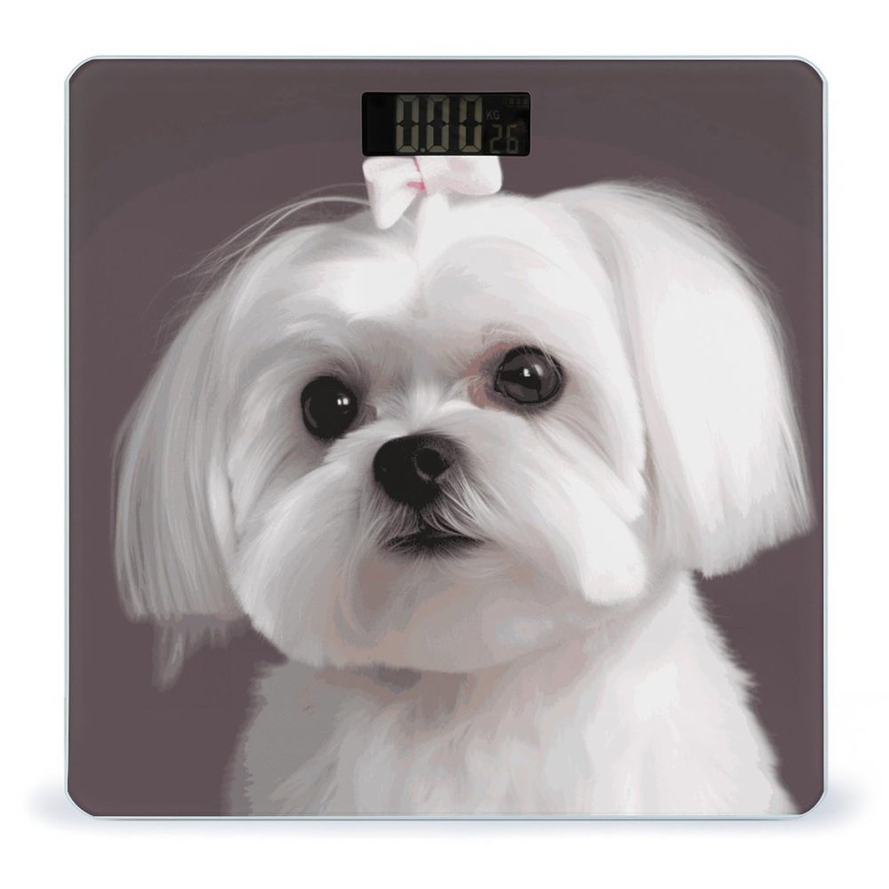 Lovely Maltese Dog Bathroom Scale for Body Weight with High Precision Large LCD Backlight Display Digital Weighing Scale with BMI Capacity Up to 180kg