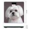 Lovely Maltese Dog Bathroom Scale for Body Weight with High Precision Large LCD Backlight Display Digital Weighing Scale with BMI Capacity Up to 180kg view 2