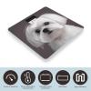 Lovely Maltese Dog Bathroom Scale for Body Weight with High Precision Large LCD Backlight Display Digital Weighing Scale with BMI Capacity Up to 180kg view 3