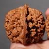 Jade Walnuts, Chinese Walnuts Fidget 2pcs Chinese Exercise Walnuts with Gift Box & Brush Traditional Stress Relief Hand Fidget for Relaxation & Focus (Type C, 39-40mm) view 4