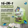 BUTTERFLY'S TEAR Berberine Supplement Gummies Support Healthy Metabolism with Ceylon Cinnamon, Turmeric, Green Tea, Vegan, Non-GMO, Gluten-Free - Green Grape Flavor (2 Pack 120 Chew) view 2