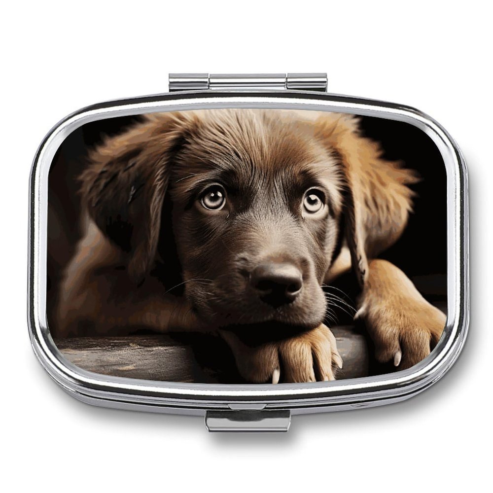 Puppies Dog Pill Box 2 Compartment Portable Travel Pill Case with Mirror Square Metal Medicines Storage Container Pocket Medicine Box to Hold Vitamins Fish Oil