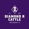 Diamond R Signature Box view 4